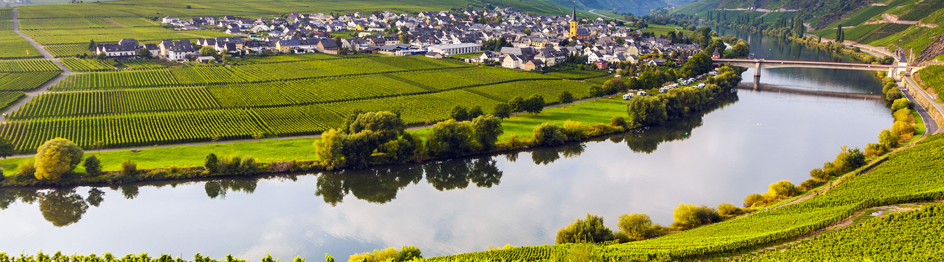 Vineyards and a village along a winding river